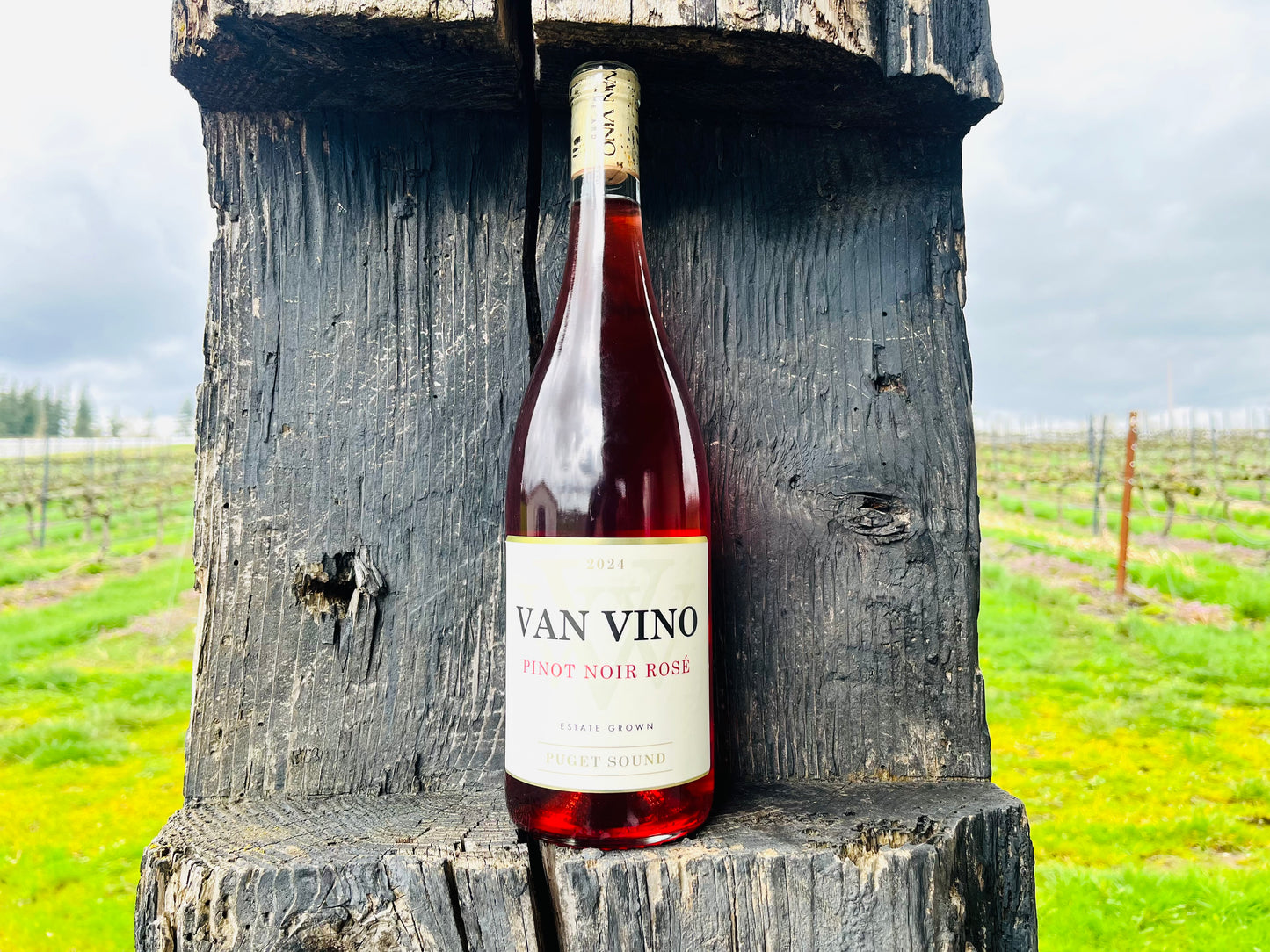 2024 PINOT NOIR ROSE