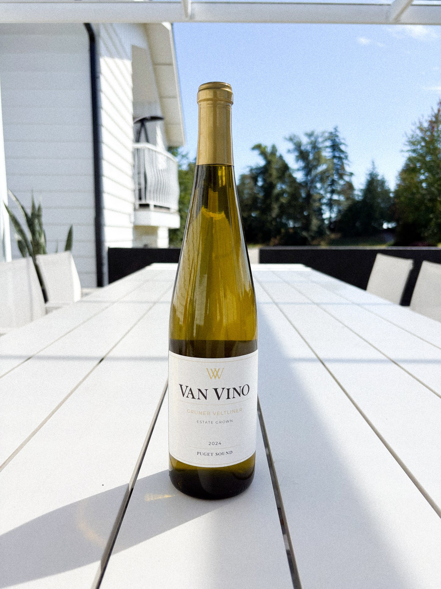 2024 Gruner Veltliner
