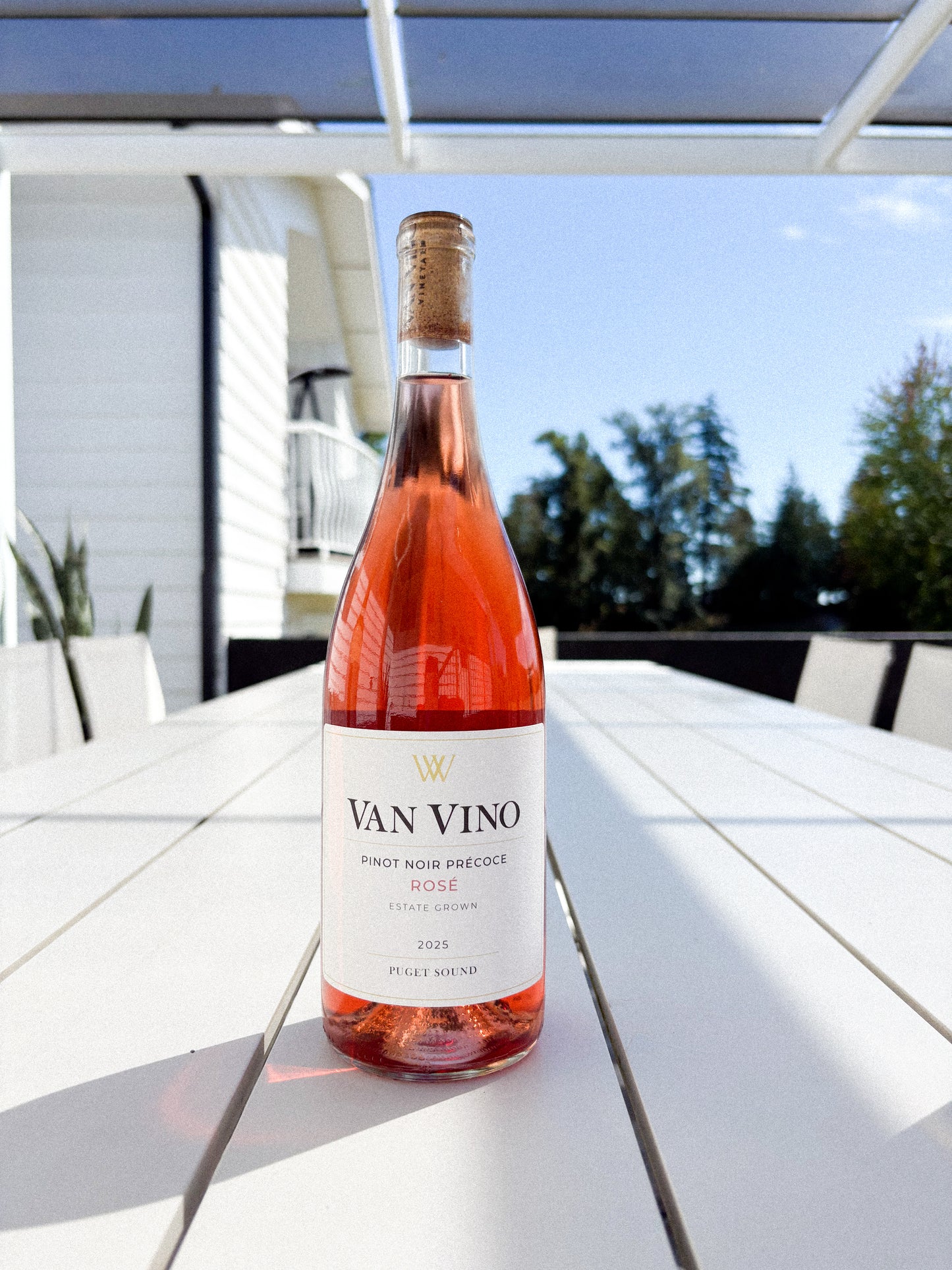 2025 Pinot Noir Rose
