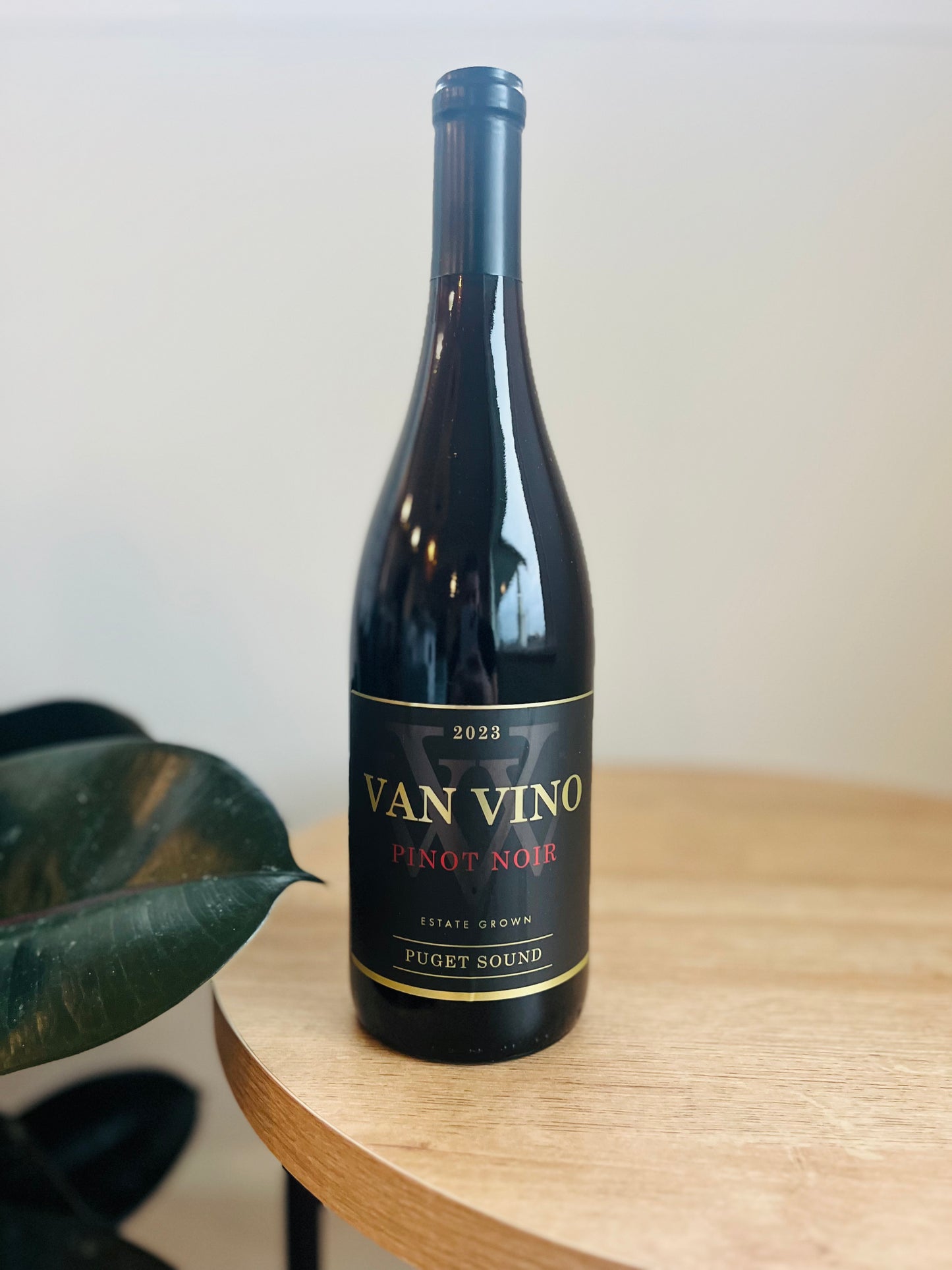 NEW • PINOT NOIR 2023